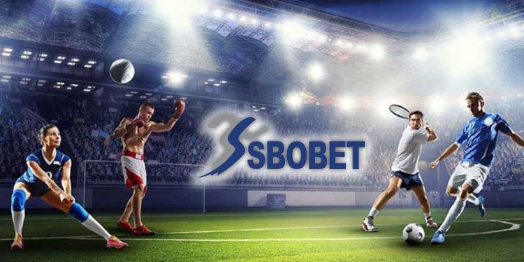 Judi Bola Online: Cara Mudah Membaca Peluang dan Memaksimalkan Keuntungan